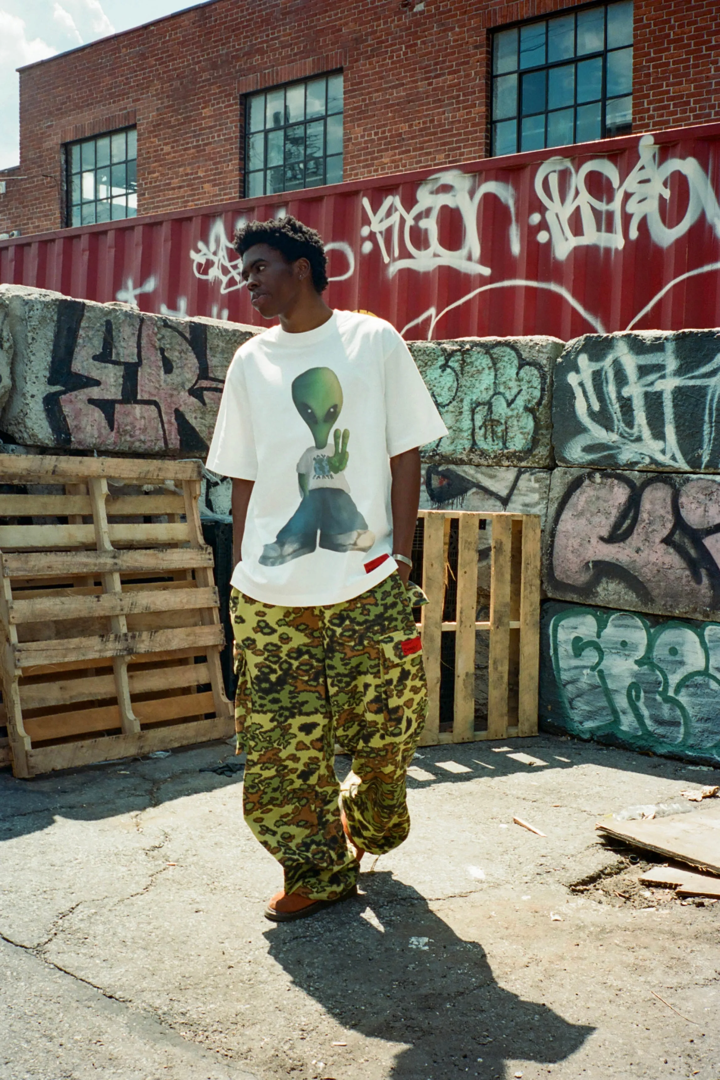 Abstracted Camo Cargo Pants (Moss/Wheat)